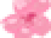 【懷情樂(lè)邦】512母親節(jié)快樂(lè)