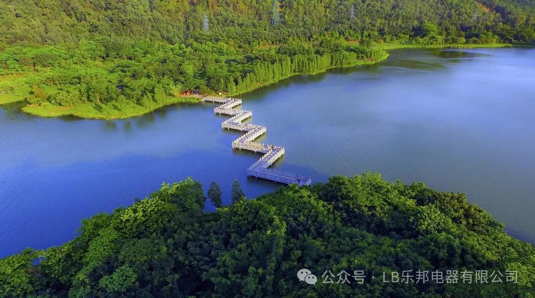 b4c31f79-0d6b-4f31-a3fc-51f059f30ea8.jpg 圖片